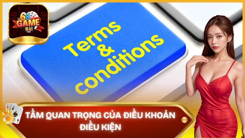 Tầm quan trọng của điều khoản điều kiện