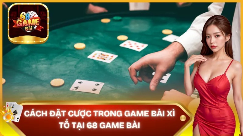 Chi tiết cách đặt cược trong bài Xì tố